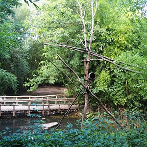Walkway bridge and parts of the crab-eating raccoon and collared peccary exhibits, 2019-08-11
