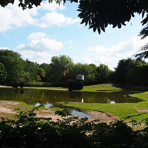 Australian Outback - Walk-through exhibit and dromedary camel paddock, 2019-08-11