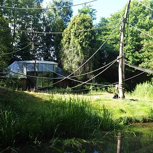 Bolivian squirrel monkey and Red-faced spider monkey island, 2019-08-11