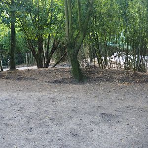 Greater rhea and Vicuña paddock, 2019-08-11