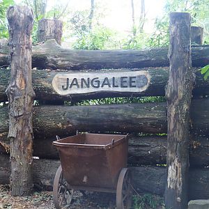 Jangalee (White and Amur tiger area) entrance theming, 2019-08-11