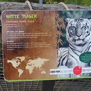 Sign White tiger - Incorrectly labeled as Bengal tiger, 2019-08-11