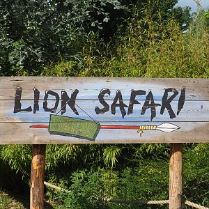 Sign Lion safari - Lions 100% guaranteed, 2019-08-11