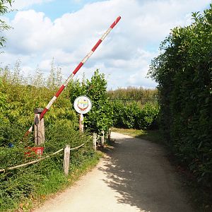 Access to lion area, 2019-08-11