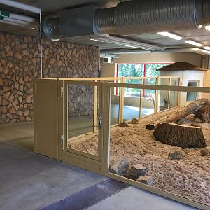 Meerkat indoors | The Desert House