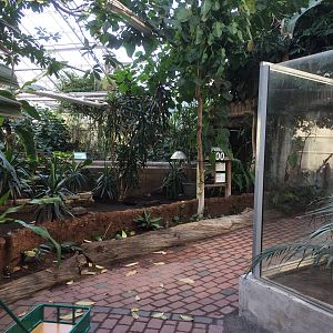 "AmaZOOnas" Tropical House