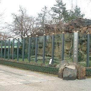 American Black Bear Enclosure