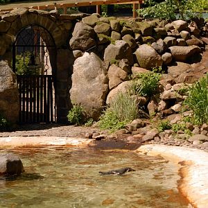 Penguinenclosure at Cottbus