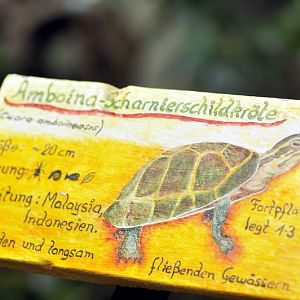 Southeast Asian box turtle sign at the Troparium Hagenbeck
