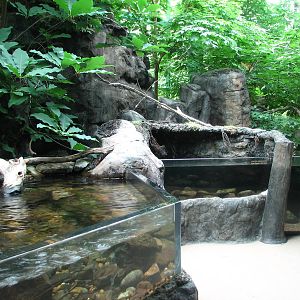 Virginia Living Museum