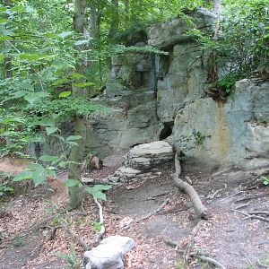 Virginia Living Museum