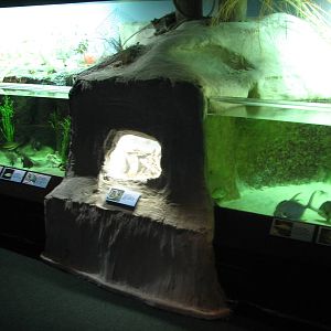Virginia Living Museum