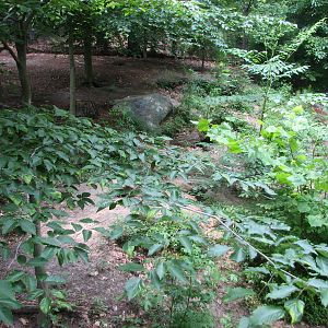 Virginia Living Museum