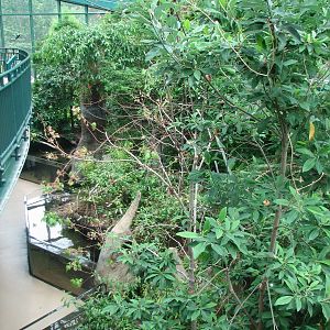 Virginia Living Museum