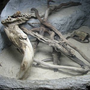 Virginia Living Museum