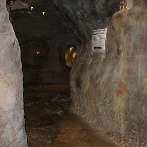 Virginia Living Museum