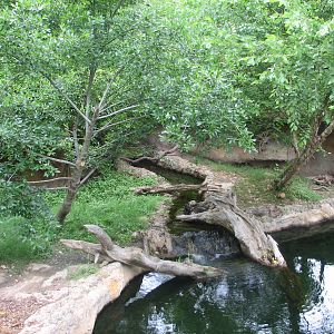 Virginia Living Museum