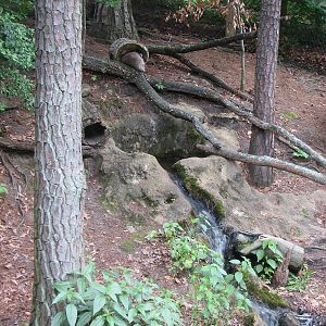 Virginia Living Museum