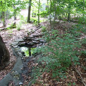 Virginia Living Museum