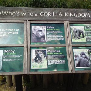 Information panel, Gorilla Kingdom