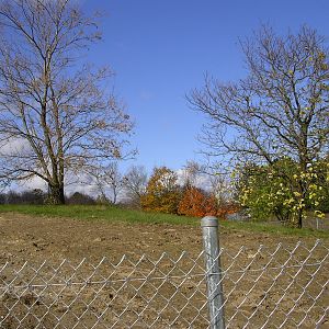 Late October 2007 Tundra Trek Picture