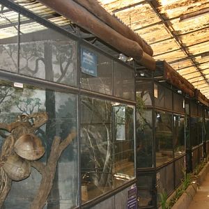 Pata zoo, Bangkok