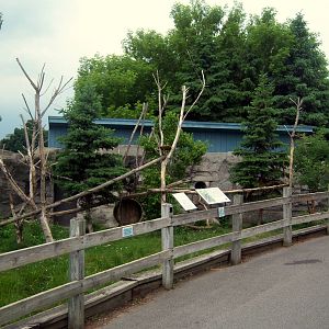 Wildlife Trails - Red Panda Exhibit