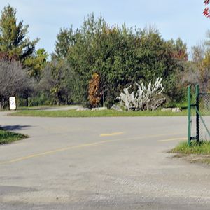 Low safty at the african lion safari