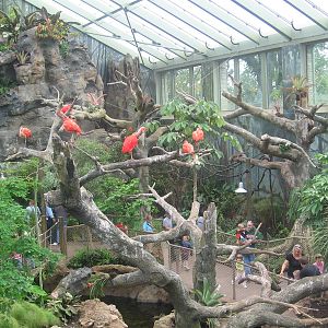 Rainforest Exhibit