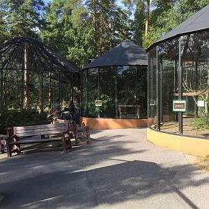 "The Monkey House" outdoors.