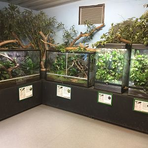 Terrariums in the gibbon house.