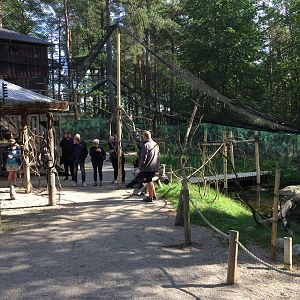 Ring-tailed lemur exhibit | "A World Of Lemurs".