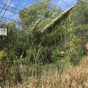 Flamingo Walk-through aviary.