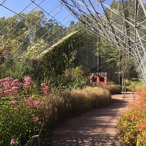 Flamingo Walk-through aviary.