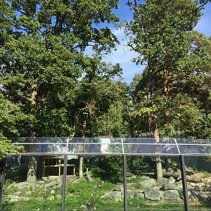 Leopard exhibit (climbable high trees!).