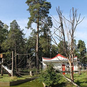 Lar gibbon & Asian small-clawed otter exhibit.