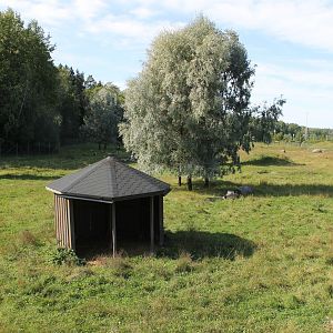 Domestic animals big exhibit.
