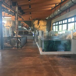 Banks of the Yellowstone exhibit