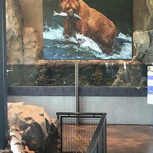 Arctic Grayling exhibit