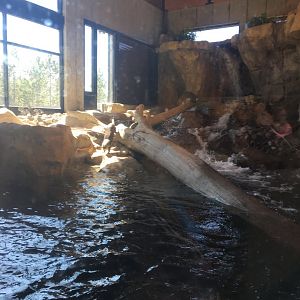 North American River Otter Exhibit