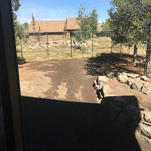 River Valley Wolf Habitat expansion