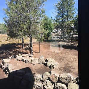 River Valley Wolf Habitat expansion