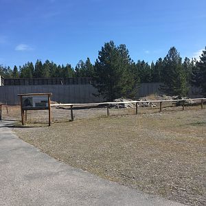 Future Black Bear Den and Exhibit