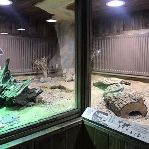 Kingdom of the Wild - vivarium 050819