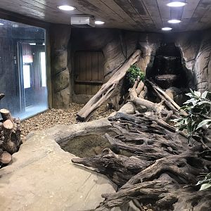 Kingdom of the Wild - African rock python exhibit 050819