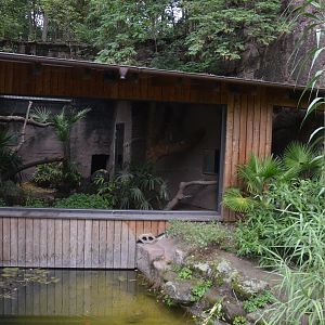 Fishing Cat Enclosure at Nuremberg, 07/09/19