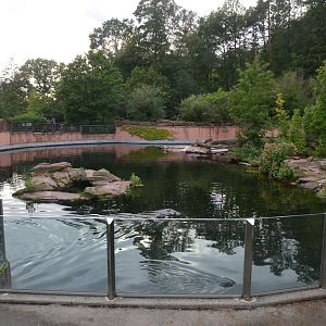 California Sea Lion and Common Seal Enclosure at Nuremberg, 07/09/19