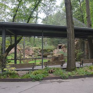 Lammergeier Aviary at Nuremberg, 08/09/19
