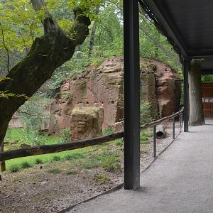 Lammergeier Aviary at Nuremberg, 08/09/19