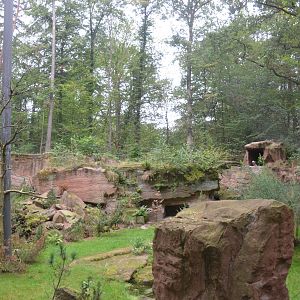 Lammergeier Aviary at Nuremberg, 08/09/19